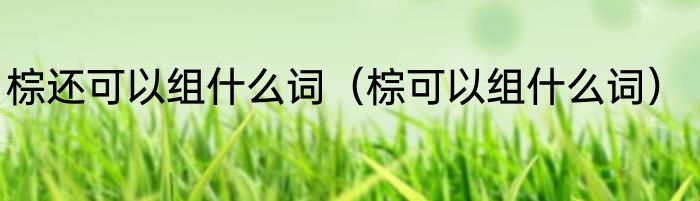 棕还可以组什么词（棕可以组什么词）