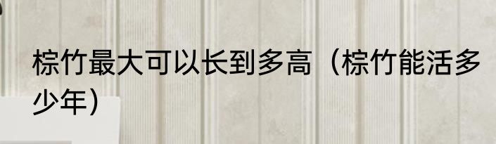 棕竹最大可以长到多高（棕竹能活多少年）