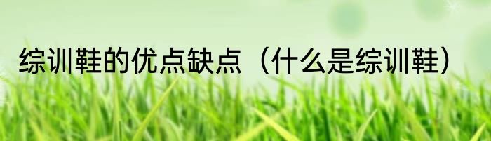 综训鞋的优点缺点（什么是综训鞋）