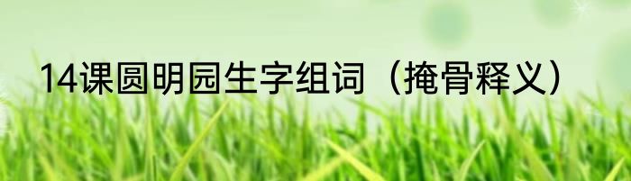 14课圆明园生字组词（掩骨释义）