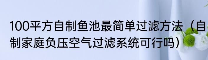 100平方自制鱼池最简单过滤方法（自制家庭负压空气过滤系统可行吗）