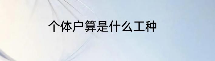 个体户算是什么工种