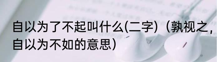 自以为了不起叫什么(二字)（孰视之，自以为不如的意思）