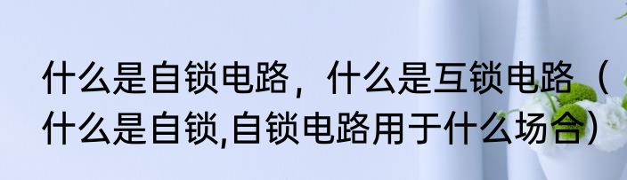 什么是自锁电路，什么是互锁电路（什么是自锁,自锁电路用于什么场合）