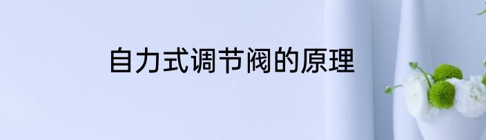 自力式调节阀的原理