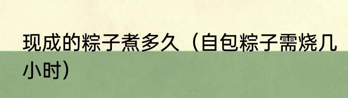 现成的粽子煮多久（自包粽子需烧几小时）
