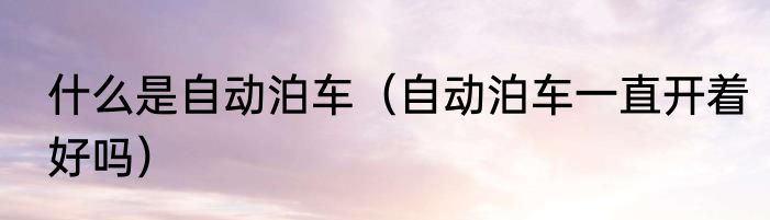 什么是自动泊车（自动泊车一直开着好吗）