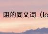 阻的同义词（lac阻遏蛋白名词解释）
