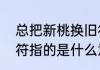 总把新桃换旧符的符指什么（新桃旧符指的是什么意）