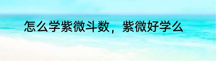 怎么学紫微斗数，紫微好学么