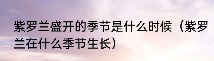 紫罗兰盛开的季节是什么时候（紫罗兰在什么季节生长）