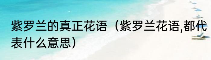 紫罗兰的真正花语（紫罗兰花语,都代表什么意思）