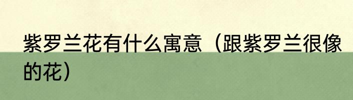 紫罗兰花有什么寓意（跟紫罗兰很像的花）