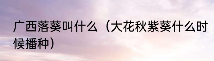 广西落葵叫什么（大花秋紫葵什么时候播种）