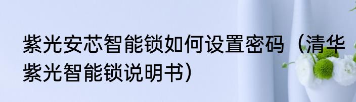 紫光安芯智能锁如何设置密码（清华紫光智能锁说明书）