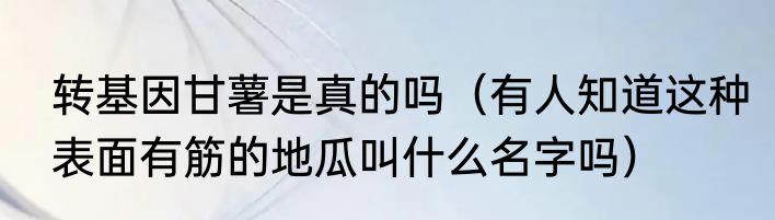 转基因甘薯是真的吗（有人知道这种表面有筋的地瓜叫什么名字吗）
