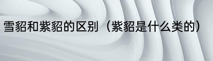 雪貂和紫貂的区别（紫貂是什么类的）