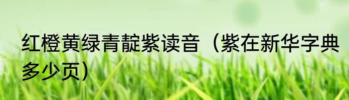 红橙黄绿青靛紫读音（紫在新华字典多少页）