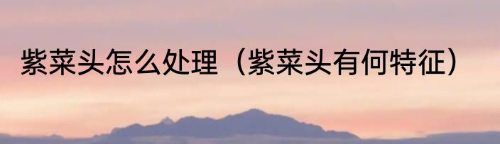 紫菜头怎么处理（紫菜头有何特征）