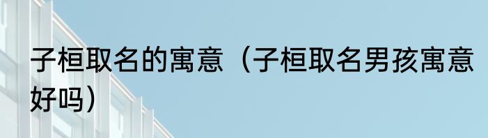 子桓取名的寓意（子桓取名男孩寓意好吗）