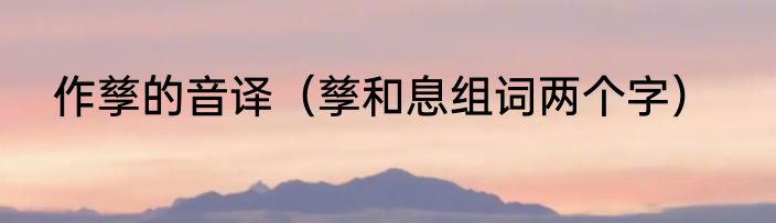 作孳的音译（孳和息组词两个字）