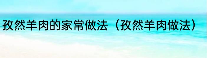 孜然羊肉的家常做法（孜然羊肉做法）