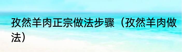 孜然羊肉正宗做法步骤（孜然羊肉做法）