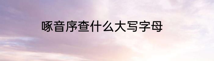 啄音序查什么大写字母