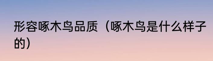 形容啄木鸟品质（啄木鸟是什么样子的）