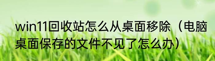 win11回收站怎么从桌面移除（电脑桌面保存的文件不见了怎么办）