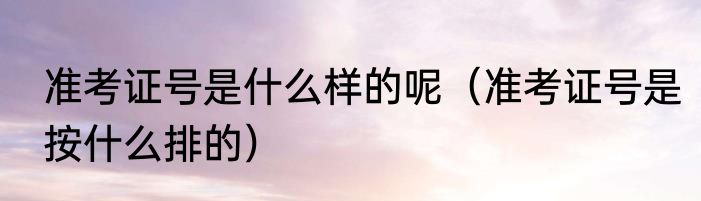 准考证号是什么样的呢（准考证号是按什么排的）