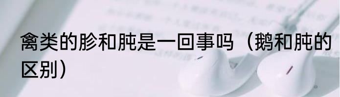 禽类的胗和肫是一回事吗（鹅和肫的区别）