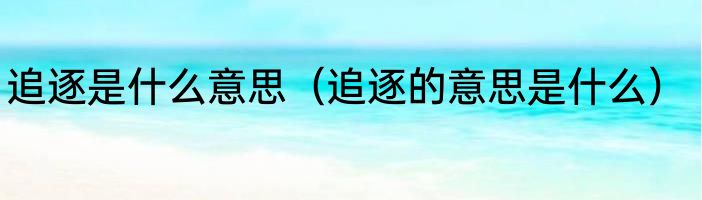 追逐是什么意思（追逐的意思是什么）