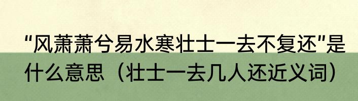 “风萧萧兮易水寒壮士一去不复还”是什么意思（壮士一去几人还近义词）