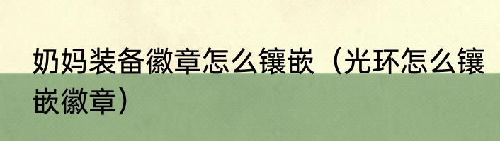 奶妈装备徽章怎么镶嵌（光环怎么镶嵌徽章）