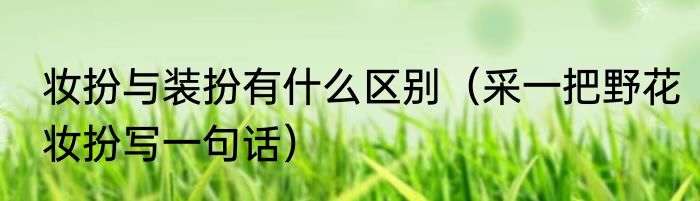 妆扮与装扮有什么区别（采一把野花妆扮写一句话）