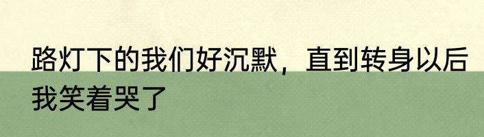 路灯下的我们好沉默，直到转身以后我笑着哭了