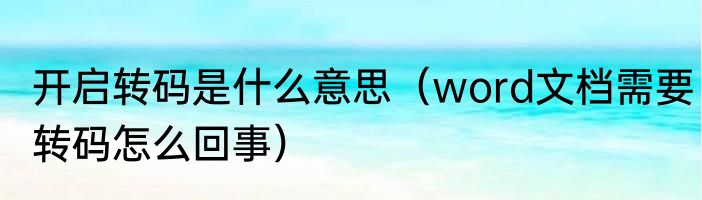 开启转码是什么意思（word文档需要转码怎么回事）