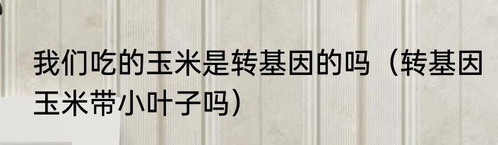 我们吃的玉米是转基因的吗（转基因玉米带小叶子吗）