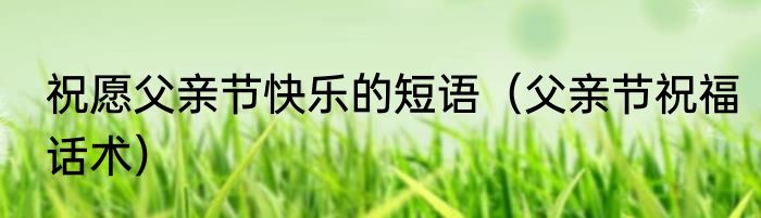 祝愿父亲节快乐的短语（父亲节祝福话术）