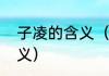 子凌的含义（名字叫子凌代表什么含义）