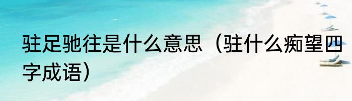 驻足驰往是什么意思（驻什么痴望四字成语）