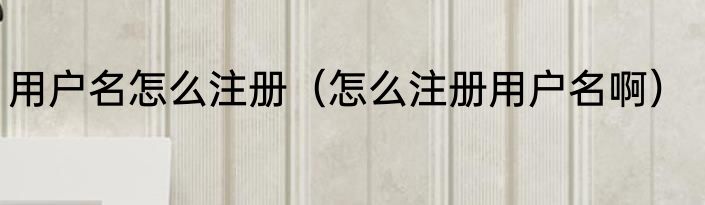用户名怎么注册（怎么注册用户名啊）