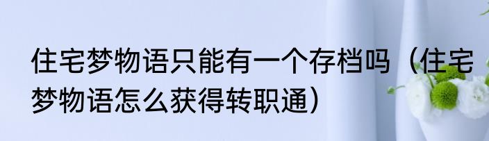 住宅梦物语只能有一个存档吗（住宅梦物语怎么获得转职通）