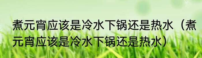 煮元宵应该是冷水下锅还是热水（煮元宵应该是冷水下锅还是热水）