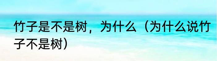 竹子是不是树，为什么（为什么说竹子不是树）