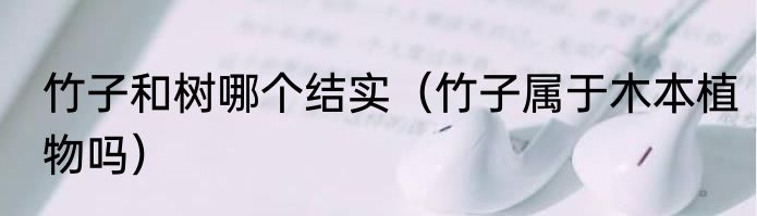 竹子和树哪个结实（竹子属于木本植物吗）