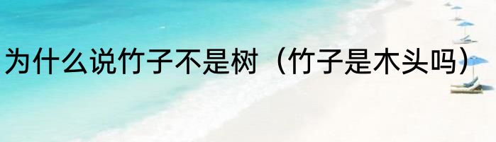 为什么说竹子不是树（竹子是木头吗）