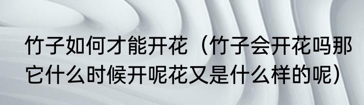 竹子如何才能开花（竹子会开花吗那它什么时候开呢花又是什么样的呢）