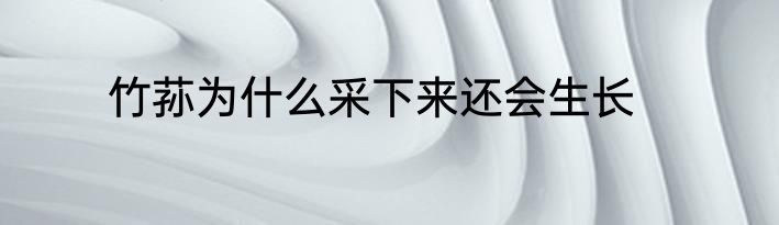 竹荪为什么采下来还会生长
